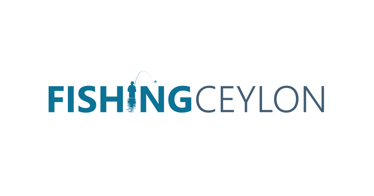 Daiwa Crystal Clear Monofilament Line (Japan) – Fishing Ceylon