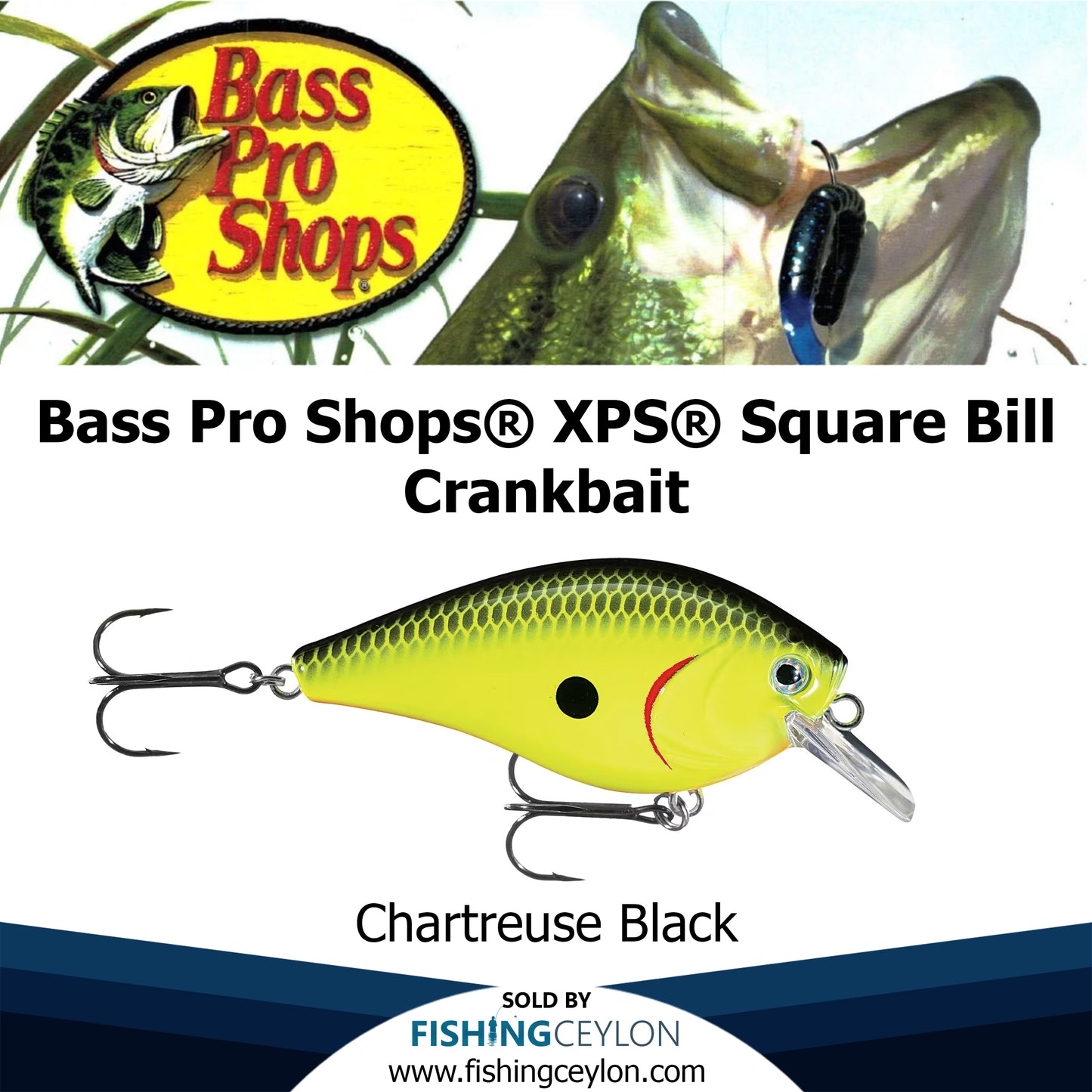 Bass Pro Shops® XPS® Square Bill Crankbait